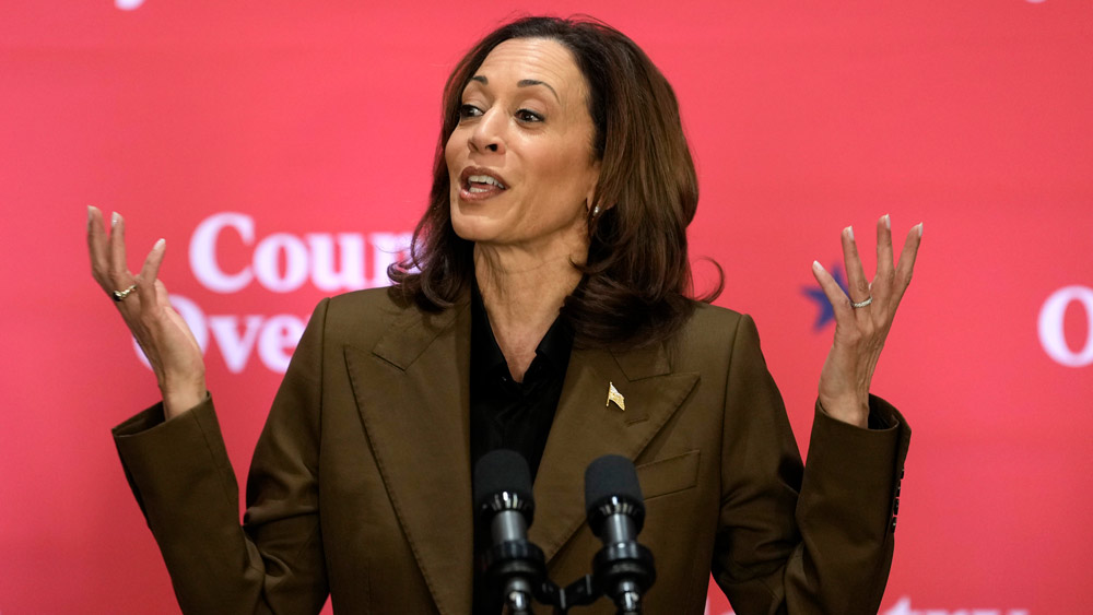 Are Male Voters Reluctant to Vote for a Woman? Harris' Backers Are Confronting the Question Head On